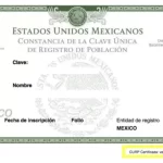 Imagen de muestra de la CURP. La CURP será mecanismo de identidad oficial. Foto: JLMNoticias / Segob.