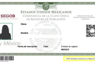 Imagen de muestra de la CURP. La CURP será mecanismo de identidad oficial. Foto: JLMNoticias / Segob.