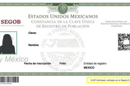 Imagen de muestra de la CURP. La CURP será mecanismo de identidad oficial. Foto: JLMNoticias / Segob.