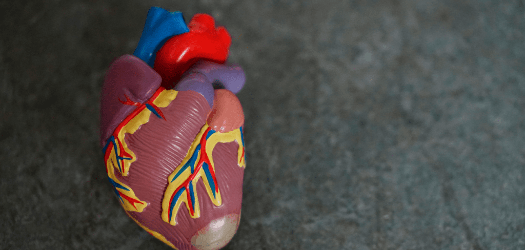 Hipertensión, un mal recurrente pero prevenible. Foto: JLMNoticias / Robina Weermeijer / Unsplash.