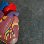 Hipertensión, un mal recurrente pero prevenible. Foto: JLMNoticias / Robina Weermeijer / Unsplash.