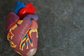 Hipertensión, un mal recurrente pero prevenible. Foto: JLMNoticias / Robina Weermeijer / Unsplash.