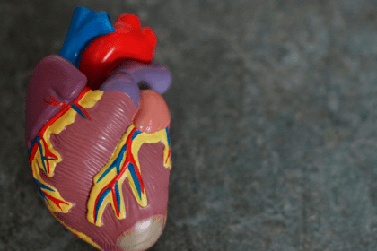 Hipertensión, un mal recurrente pero prevenible. Foto: JLMNoticias / Robina Weermeijer / Unsplash.