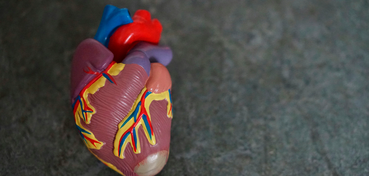 Hipertensión, un mal recurrente pero prevenible. Foto: JLMNoticias / Robina Weermeijer / Unsplash.