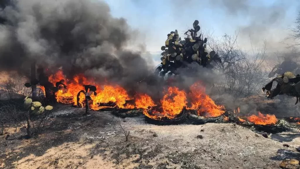 Se han atendido más de mil 200 servicios de incendios de pastizales urbanos y forestales de enero a la fecha