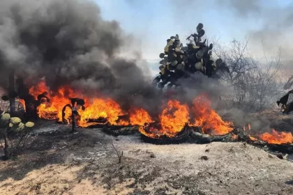 Se han atendido más de mil 200 servicios de incendios de pastizales urbanos y forestales de enero a la fecha
