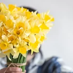 JLM FLORES AMARILLAS