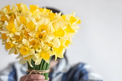 JLM FLORES AMARILLAS