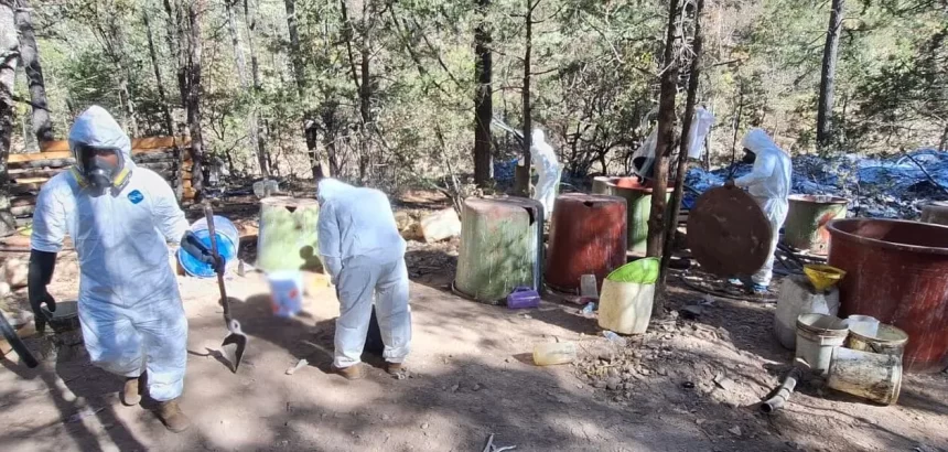 JLM LABORATORIO CLANDESTINO