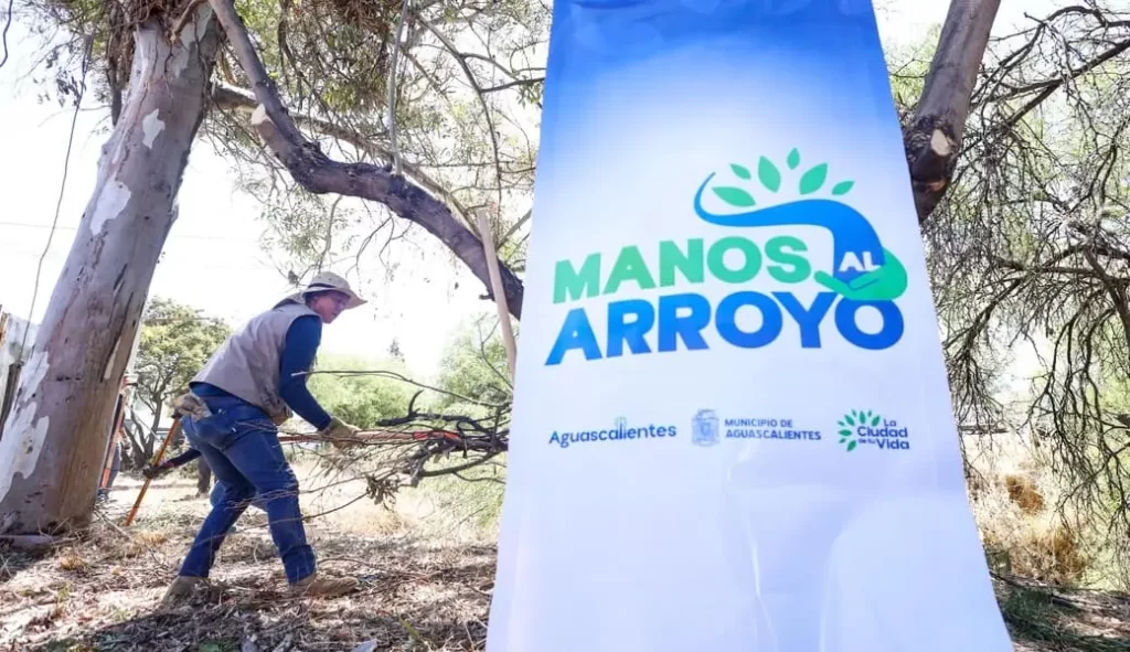 Es importante promover la colaboración de la iniciativa privada y de la sociedad en el rescate y conservación de la naturaleza: LMC