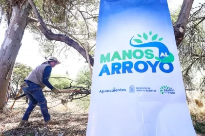 Es importante promover la colaboración de la iniciativa privada y de la sociedad en el rescate y conservación de la naturaleza: LMC