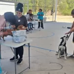 La Coordinación General de Delegaciones Urbanas y Rurales y la Asociación Humane World for Animals ofrecerán vacunación, desparasitación, consulta y asesoría