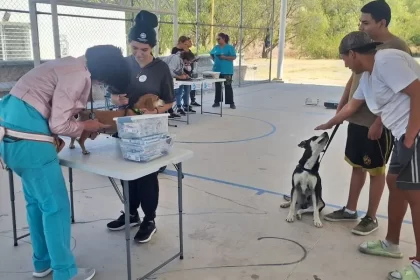 La Coordinación General de Delegaciones Urbanas y Rurales y la Asociación Humane World for Animals ofrecerán vacunación, desparasitación, consulta y asesoría