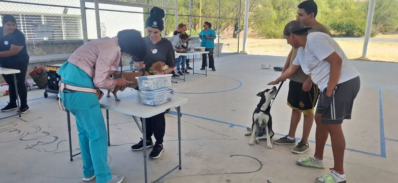 La Coordinación General de Delegaciones Urbanas y Rurales y la Asociación Humane World for Animals ofrecerán vacunación, desparasitación, consulta y asesoría
