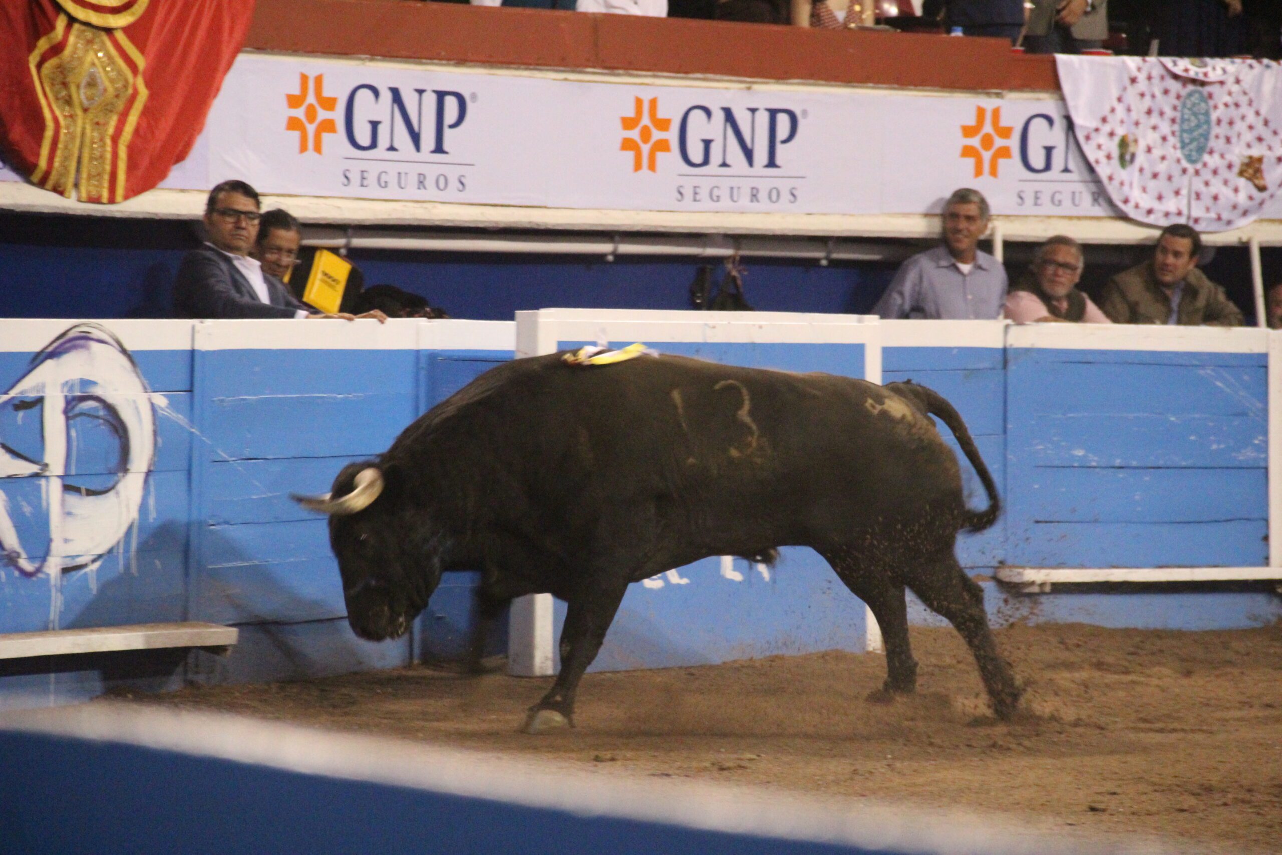 Toros de Lidia 2 scaled