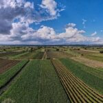 Los agricultores reciben un apoyo para adquirir bombas y tuberías en sus pozos.