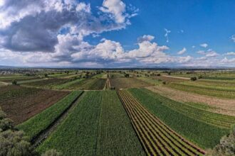 Los agricultores reciben un apoyo para adquirir bombas y tuberías en sus pozos.