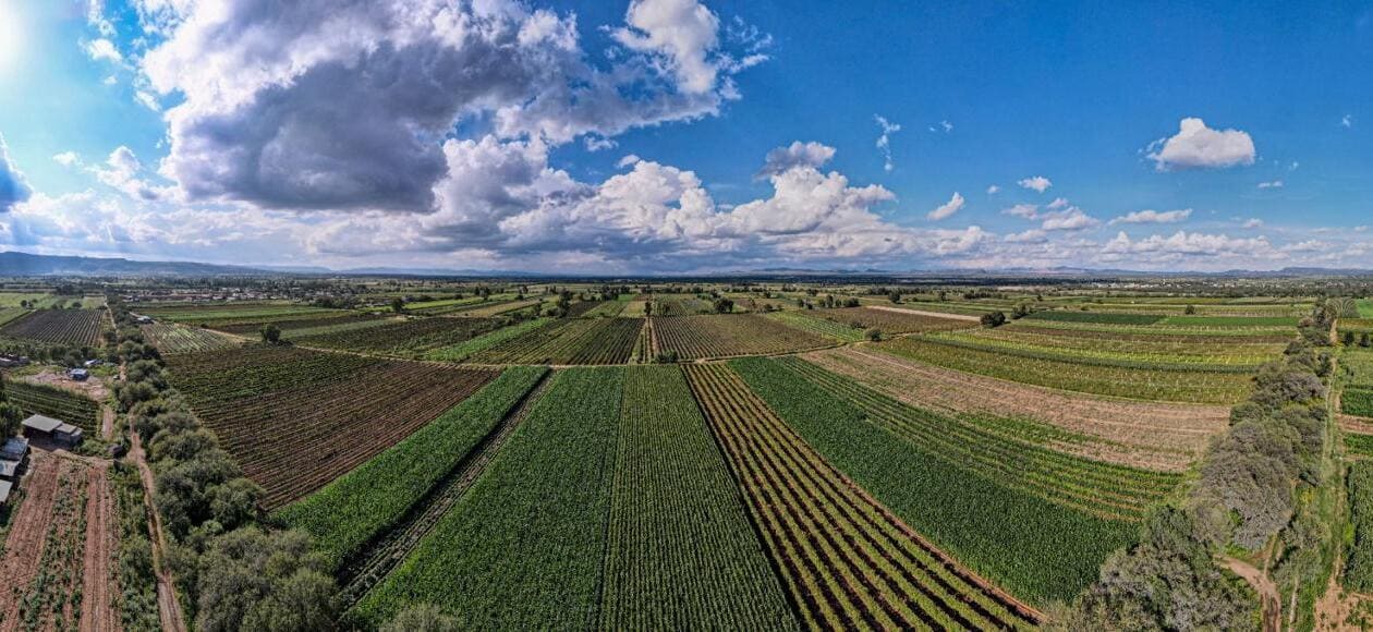 Los agricultores reciben un apoyo para adquirir bombas y tuberías en sus pozos.