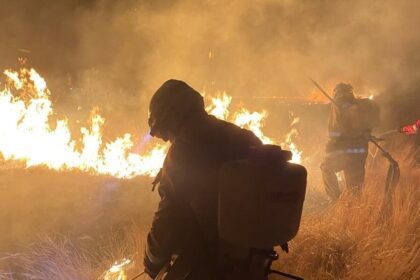 Incendios forestales