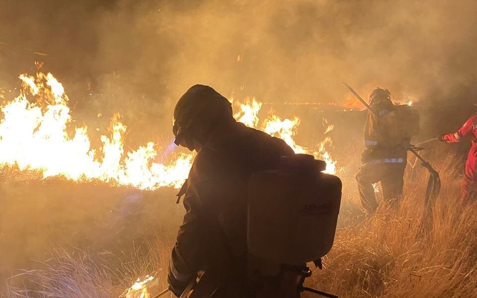 Incendios forestales