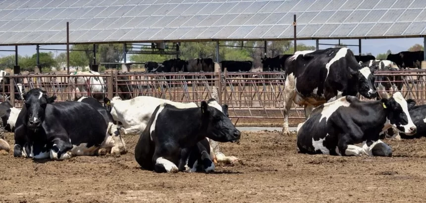 Las ponencias estarán enfocadas al tema de Agricultura y Ganadería Regenerativa