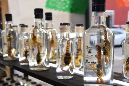 Después de siete años de pugna legal, Aguascalientes obtiene la denominación de origen del mezcal