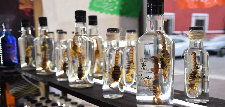 Después de siete años de pugna legal, Aguascalientes obtiene la denominación de origen del mezcal