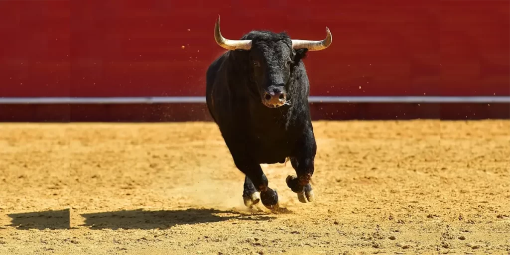 Otro golpe bajo de Morena a la Tauromaquia