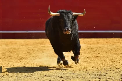 Otro golpe bajo de Morena a la Tauromaquia