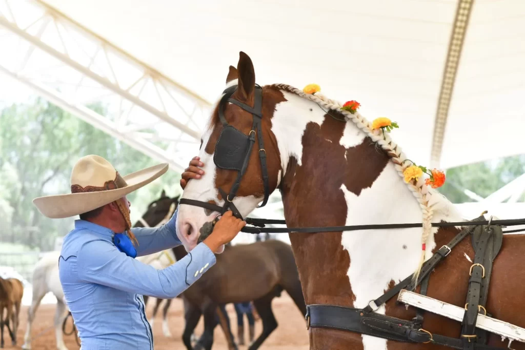 WhatsApp Image 2025 04 26 at 6.32.08 PM2