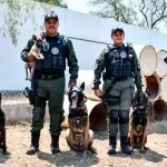 Dan la bienvenida a nuevos integrantes caninos del Grupo K9. Foto: JLMNoticias / SSP Municipal.
