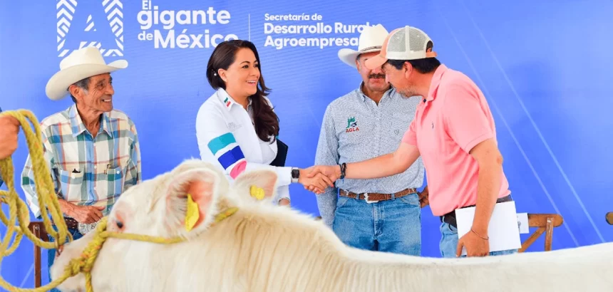 Ganaderos de Aguascalientes recibieron de manos de Tere Jiménez apoyos para la mejora génetica de sus animales