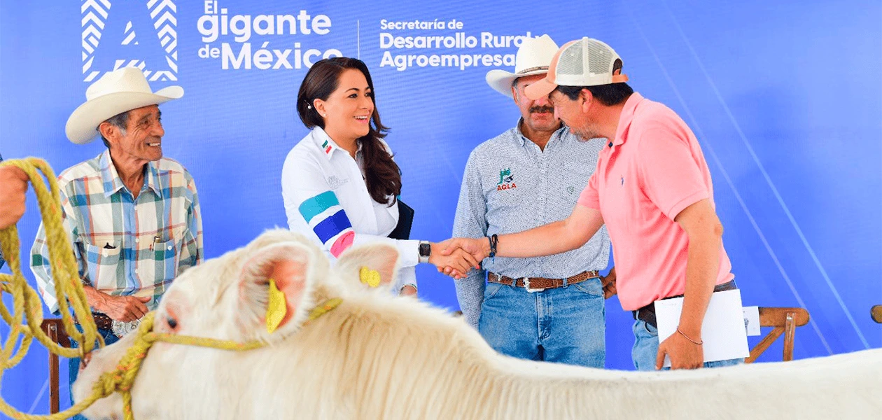 Ganaderos de Aguascalientes recibieron de manos de Tere Jiménez apoyos para la mejora génetica de sus animales