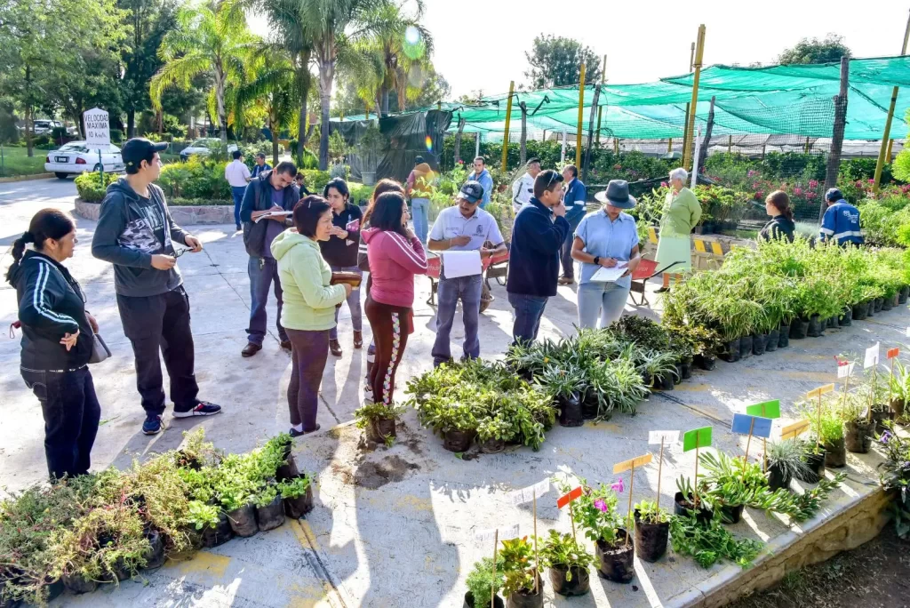 A partir del martes 20 de mayo se entregarán árboles y plantas como parte de una acción por el medio ambiente, el reciclaje y la participación ciudadana