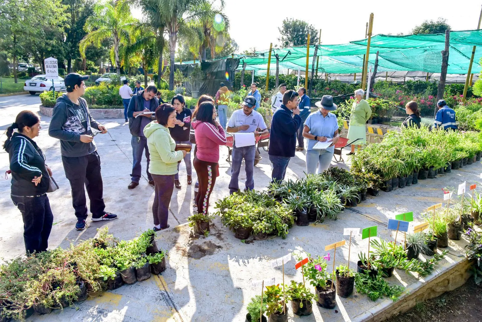 A partir del martes 20 de mayo se entregarán árboles y plantas como parte de una acción por el medio ambiente, el reciclaje y la participación ciudadana