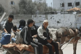 La organización de las Naciones Unidas urgió la necesidad de que apoyos lleguen a Gaza. Foto ONU