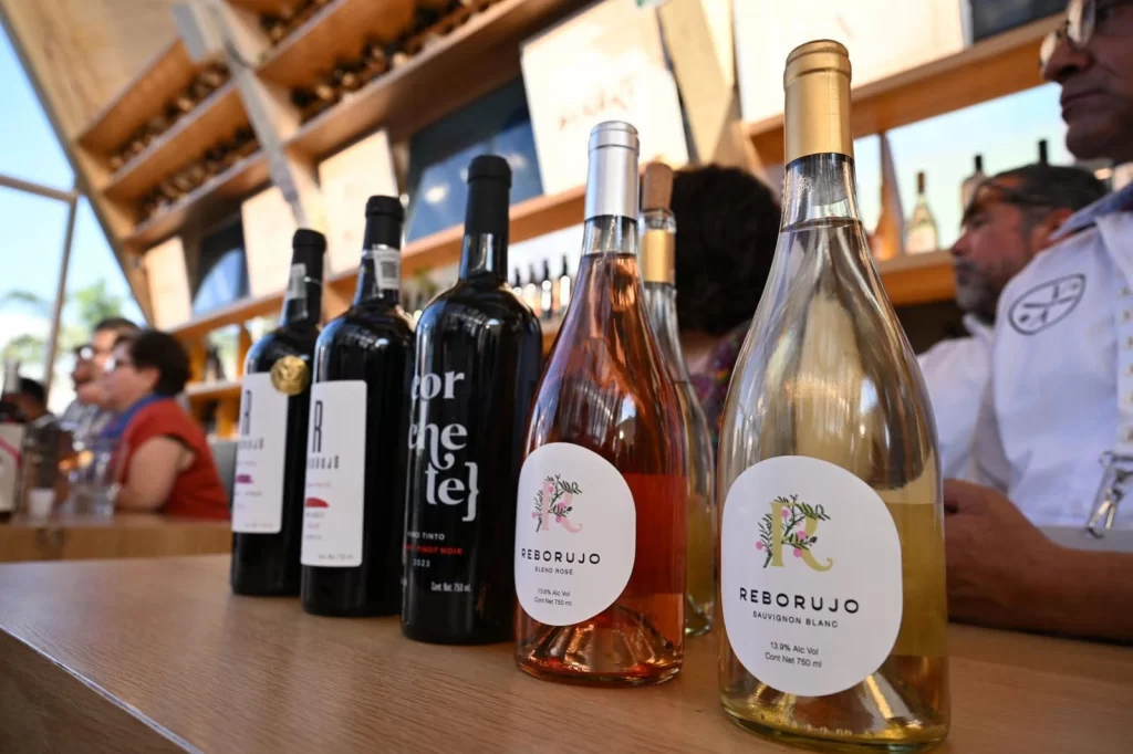 Los vinos hechos en Aguascalientes destacan en sabor por la calidad de la uva