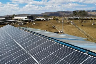 Aguascalientes apoya a lecheros y acuicultores con paneles solares. Sedrae cubrirá hasta el 75 % del costo. Convocatoria cierra el 30 de mayo.
