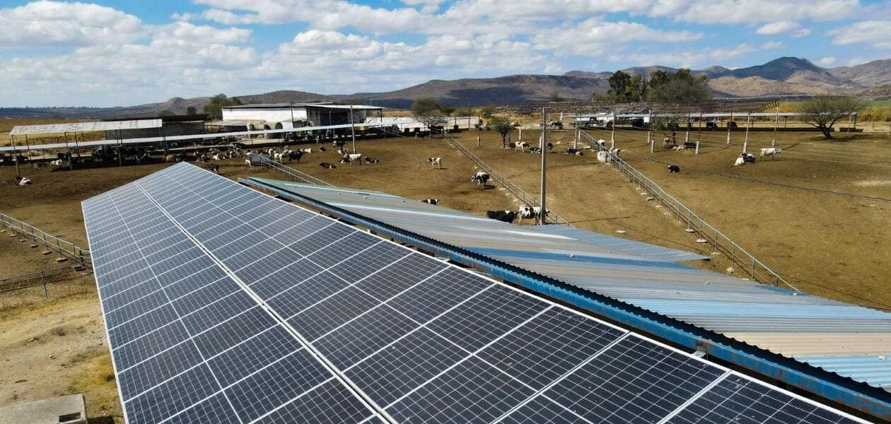 Aguascalientes apoya a lecheros y acuicultores con paneles solares. Sedrae cubrirá hasta el 75 % del costo. Convocatoria cierra el 30 de mayo.
