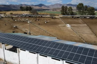 Aguascalientes apoya a lecheros y acuicultores con paneles solares. Sedrae cubrirá hasta el 75 %. Convocatoria abierta hasta el 30 de mayo.