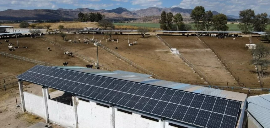 Aguascalientes apoya a lecheros y acuicultores con paneles solares. Sedrae cubrirá hasta el 75 %. Convocatoria abierta hasta el 30 de mayo.