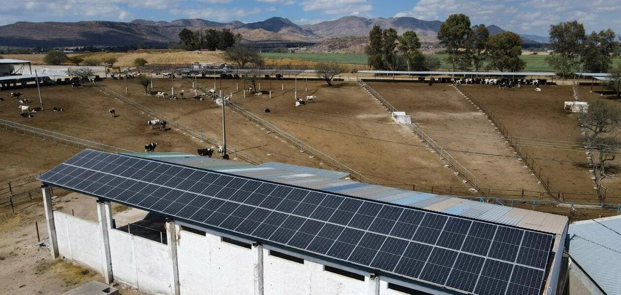 Aguascalientes apoya a lecheros y acuicultores con paneles solares. Sedrae cubrirá hasta el 75 %. Convocatoria abierta hasta el 30 de mayo.