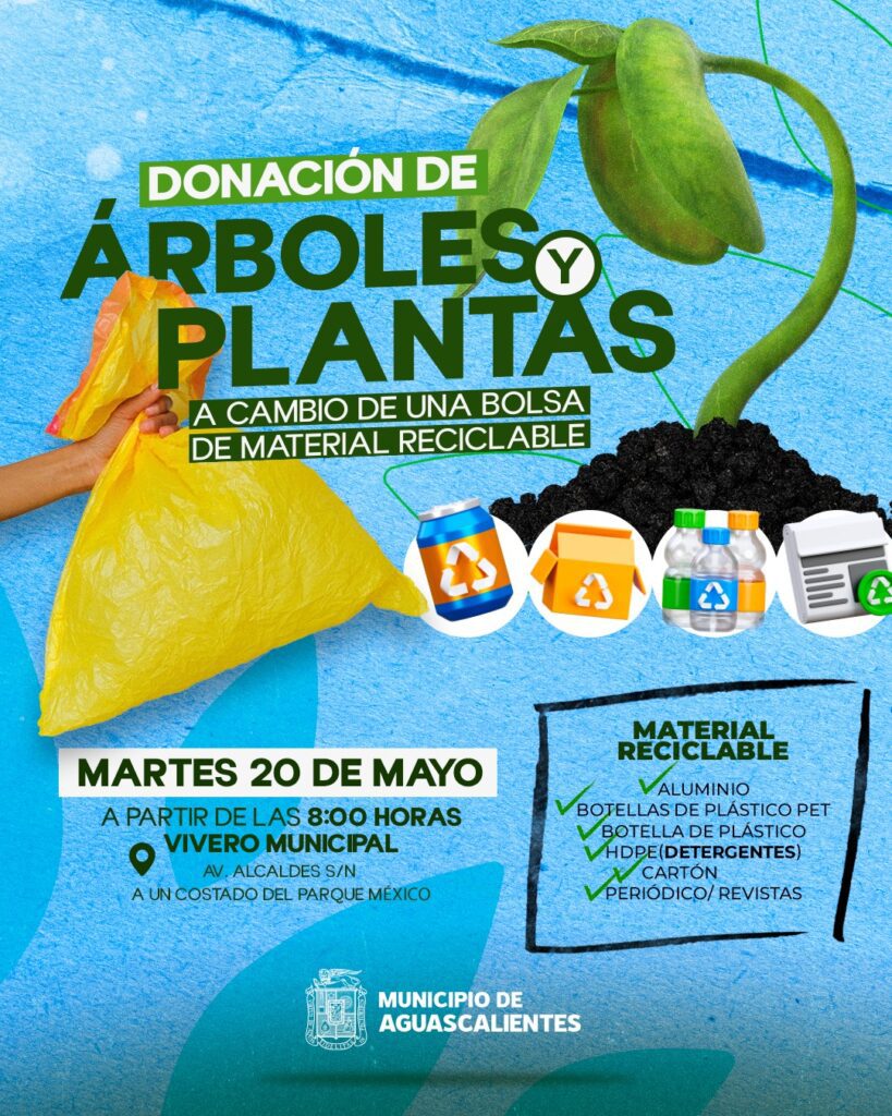 WhatsApp Image 2025 05 19 at 3.31.44 PM