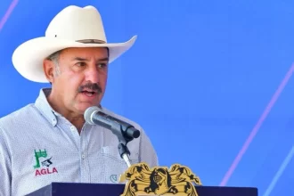 Tere Jiménez refuerza el campo con la entrega de 200 toretes para mejorar la calidad genética del ganado en Aguascalientes.