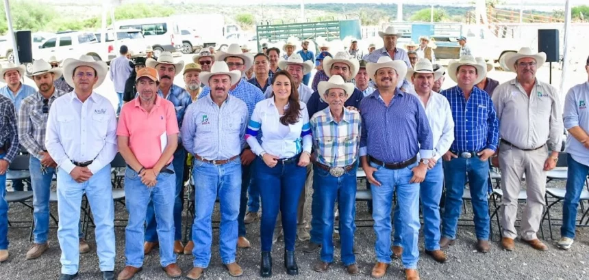 Con 200 toretes, Tere Jiménez impulsa el Mejoramiento Genético en Aguascalientes, fortaleciendo la calidad y productividad del ganado local.