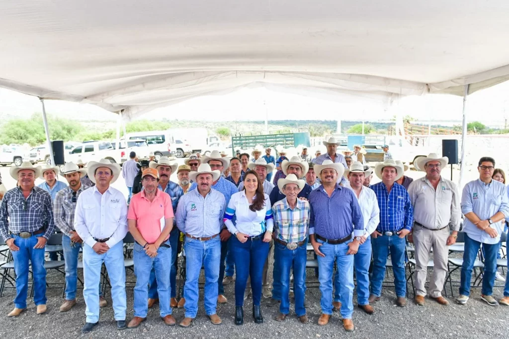 WhatsApp Image 2025 05 31 at 12.57.17 PM 1