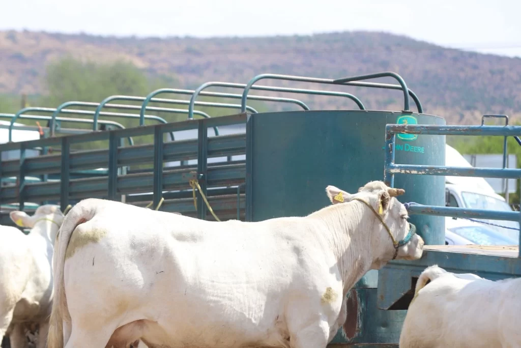 WhatsApp Image 2025 05 31 at 12.57.17 PM 2 1