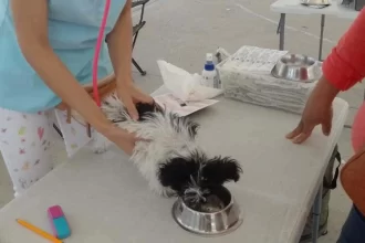 Clínica Veterinaria Móvil