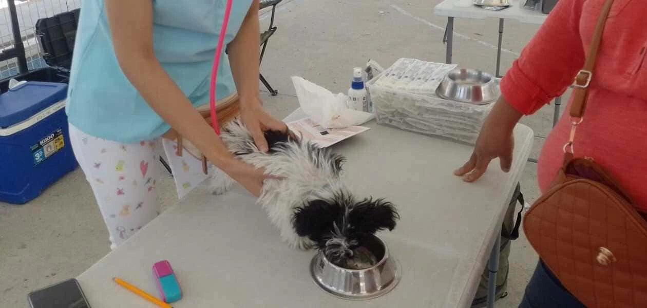 Clínica Veterinaria Móvil