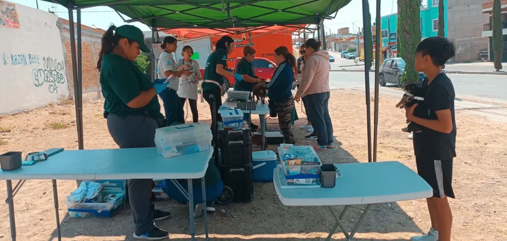 Clínica Veterinaria Móvil, brindará atención a mascotas en dos fraccionamiento del estado